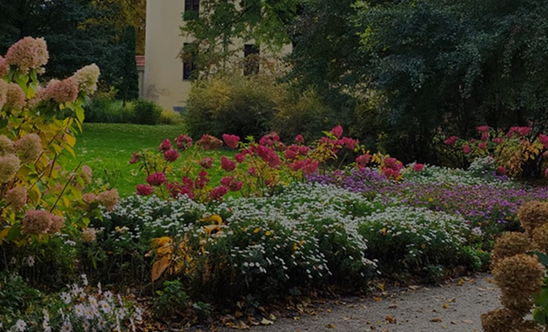 طبيعة وحدائق